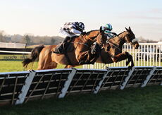 Pricedup App  Handicap Hurdle