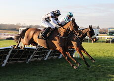 Pricedup App  Handicap Hurdle