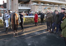 Pricedup App  Handicap Hurdle