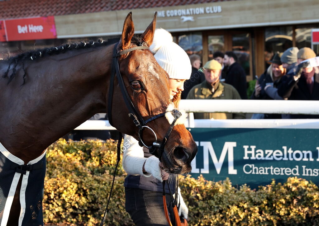 Pricedup App  Handicap Hurdle