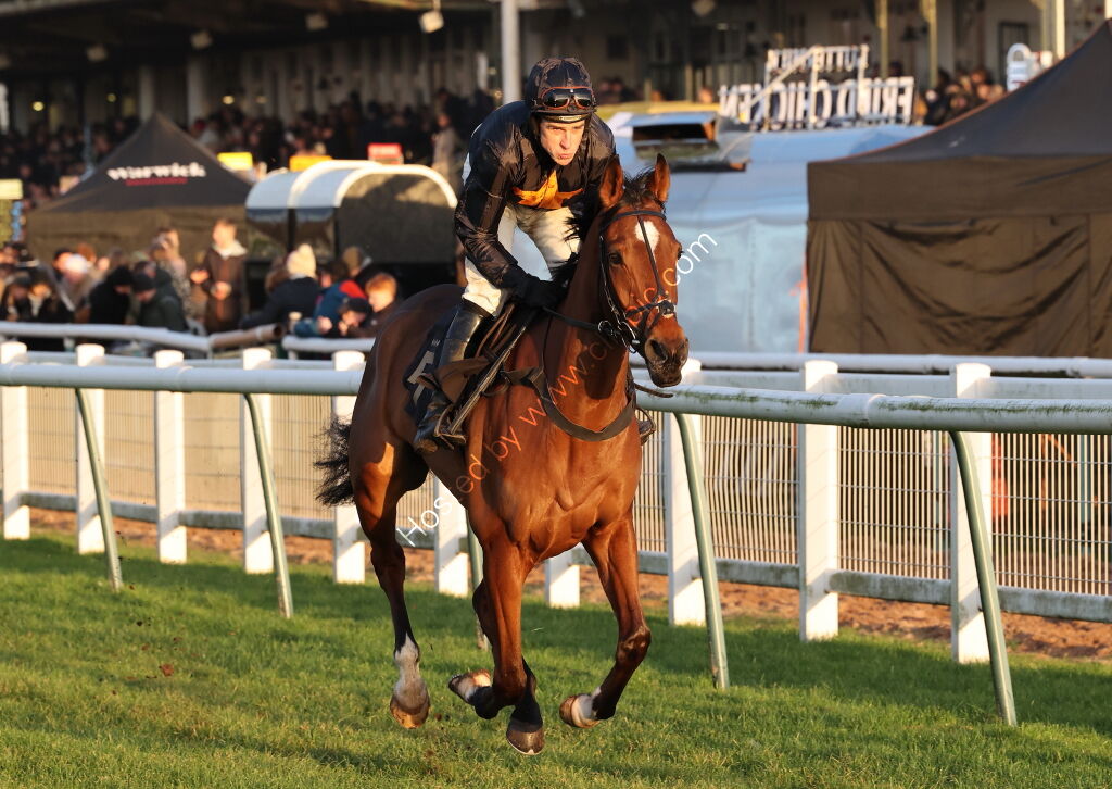 Pricedup Open NH Flat Race