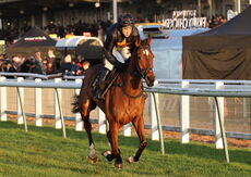 Pricedup Open NH Flat Race