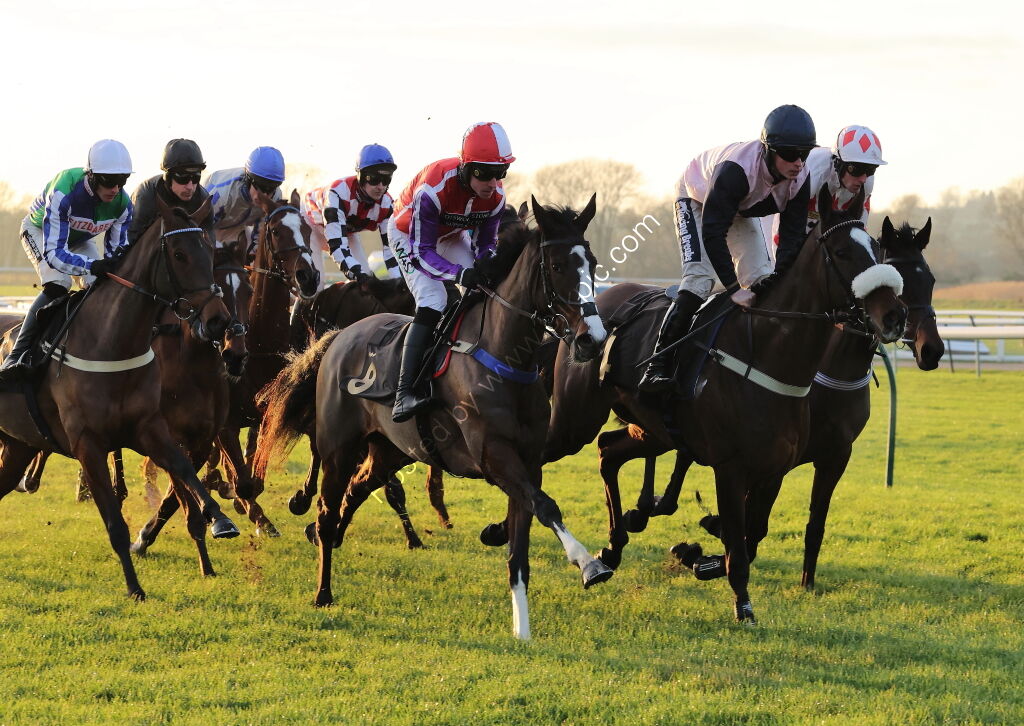 Pricedup Open NH Flat Race