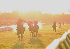 Pricedup Open NH Flat Race