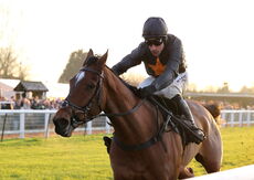 Pricedup Open NH Flat Race