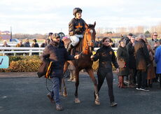 Pricedup Open NH Flat Race