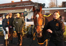 Pricedup Open NH Flat Race