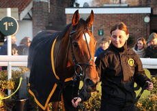 Pricedup Open NH Flat Race