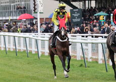 Hazelton Mountford Insurance Brokers Junior Hurdle