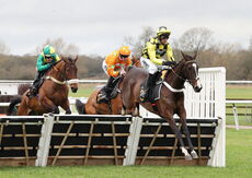 Hazelton Mountford Insurance Brokers Junior Hurdle