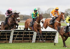 Hazelton Mountford Insurance Brokers Junior Hurdle