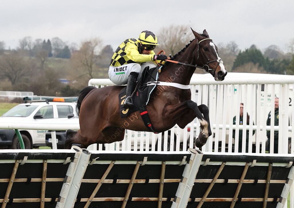 Hazelton Mountford Insurance Brokers Junior Hurdle