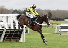 Hazelton Mountford Insurance Brokers Junior Hurdle