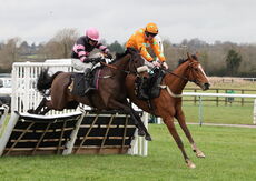 Hazelton Mountford Insurance Brokers Junior Hurdle