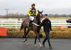 Hazelton Mountford Insurance Brokers Junior Hurdle