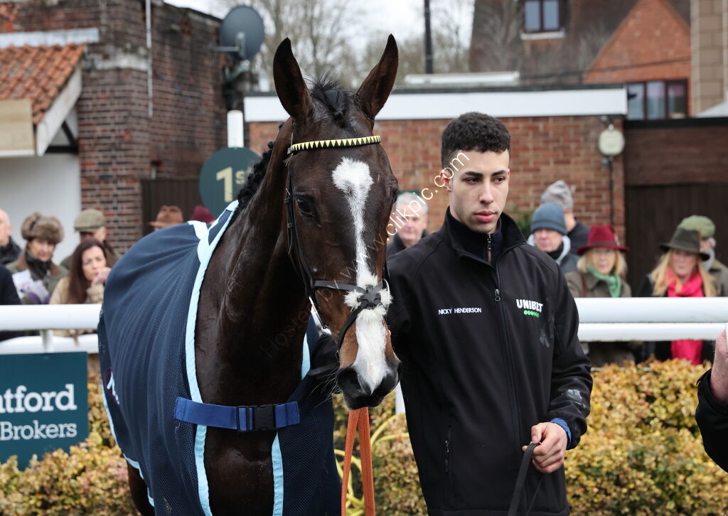 Hazelton Mountford Insurance Brokers Junior Hurdle
