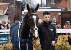 Hazelton Mountford Insurance Brokers Junior Hurdle