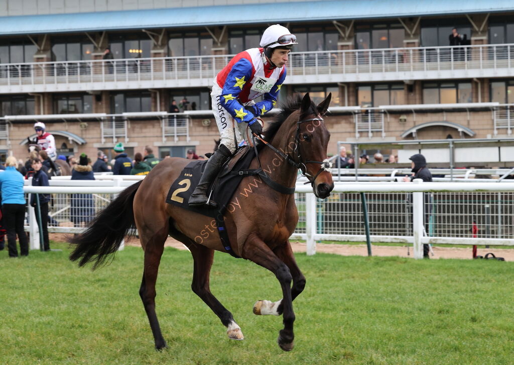 Betano Mares' Novices' Hurdle