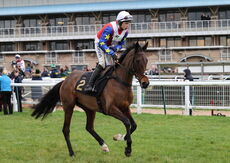 Betano Mares' Novices' Hurdle