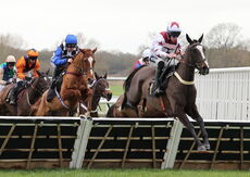 Betano Mares' Novices' Hurdle