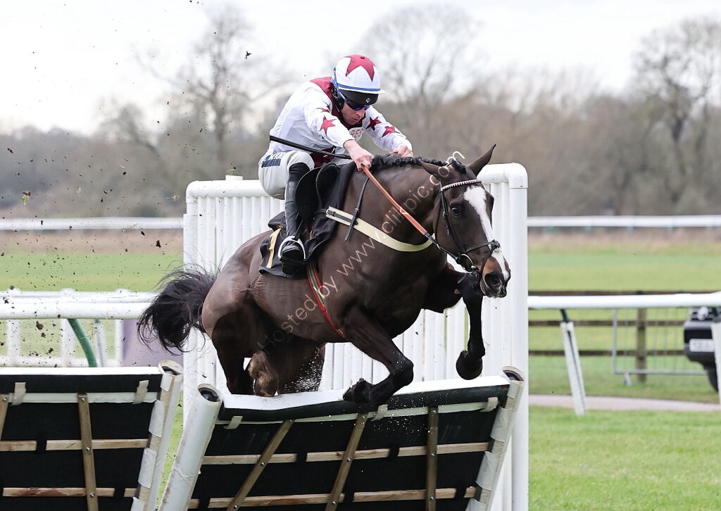 Betano Mares' Novices' Hurdle