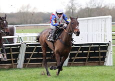 Betano Mares' Novices' Hurdle