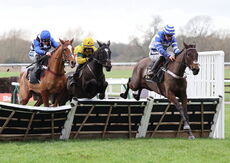 Betano Mares' Novices' Hurdle