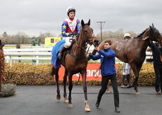 Betano Mares' Novices' Hurdle