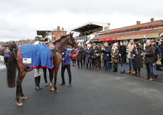 Betano Mares' Novices' Hurdle