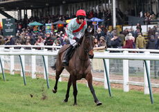 Betano Novices' Limited Handicap Chase