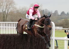 Betano Novices' Limited Handicap Chase