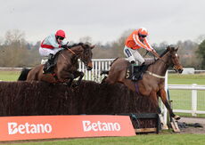 Betano Novices' Limited Handicap Chase