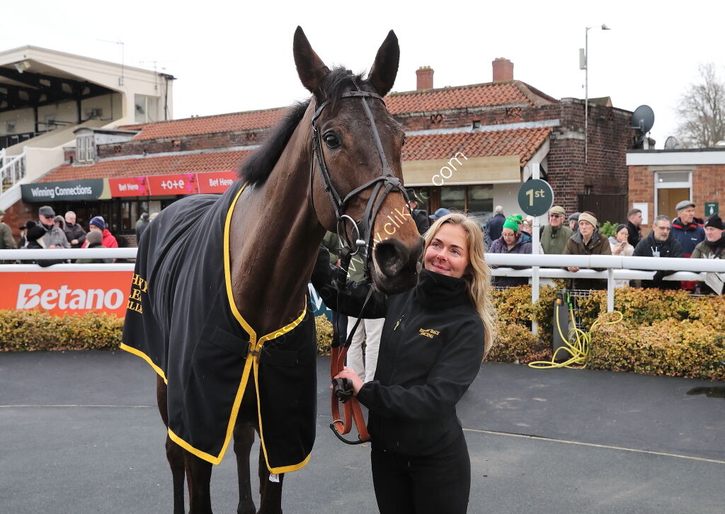 Betano Novices' Limited Handicap Chase