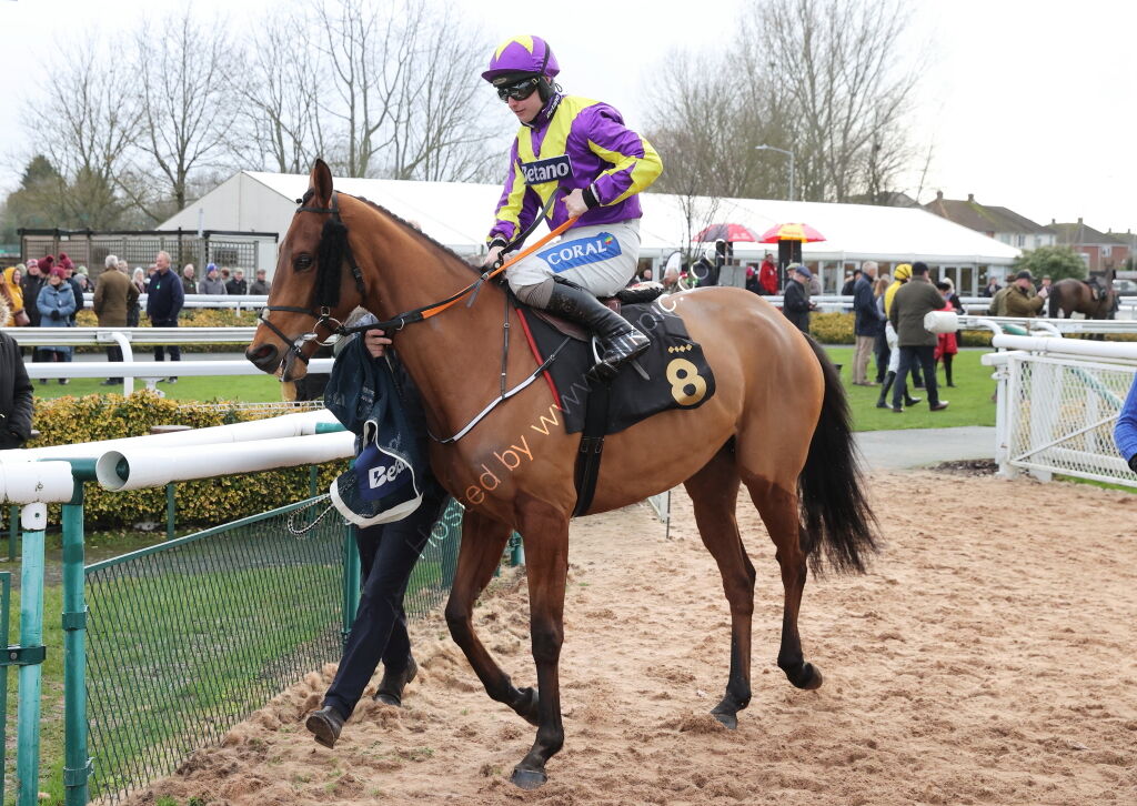 Betano Handicap Hurdle