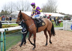 Betano Handicap Hurdle