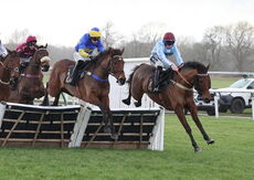Betano Handicap Hurdle