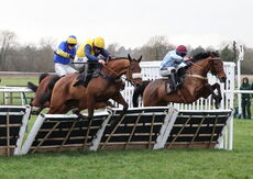 Betano Handicap Hurdle