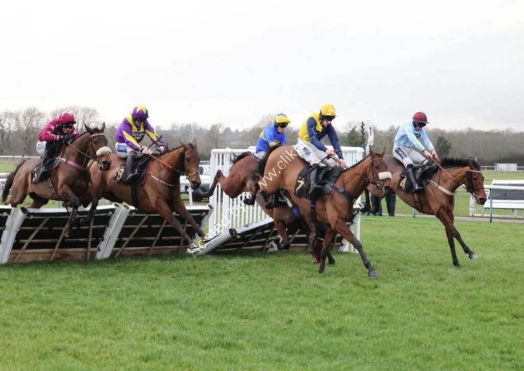 Betano Handicap Hurdle