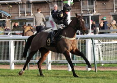 David Launchbury Memorial Novices' Handicap Hurdle