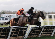 David Launchbury Memorial Novices' Handicap Hurdle