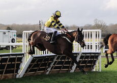 David Launchbury Memorial Novices' Handicap Hurdle
