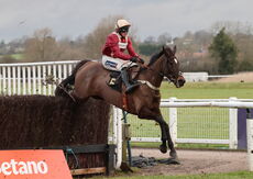 Betano Handicap Chase