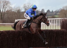 Willoughby De Broke Open Hunters Chase
