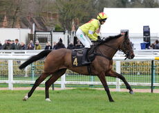 Oddschecker Maiden Hurdle