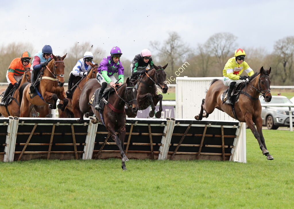 Oddschecker Maiden Hurdle