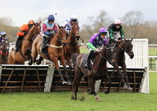 Oddschecker Maiden Hurdle