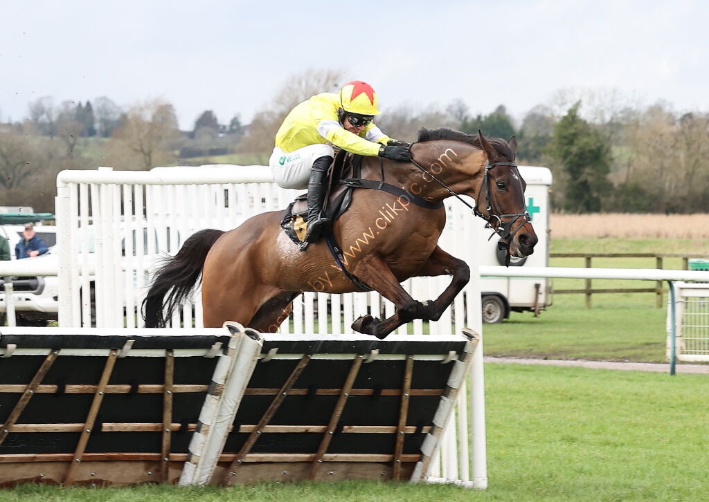 Oddschecker Maiden Hurdle