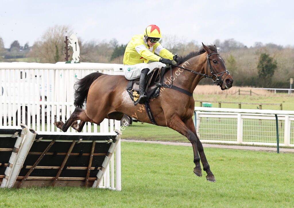 Oddschecker Maiden Hurdle