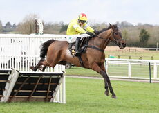 Oddschecker Maiden Hurdle