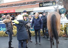 Oddschecker Maiden Hurdle